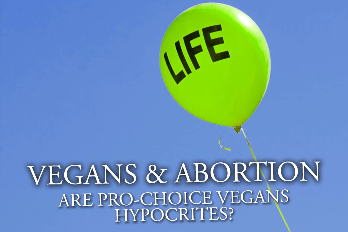 Vegans And Abortion Are Pro Choice Vegans Hypocrites I Am Going Vegan