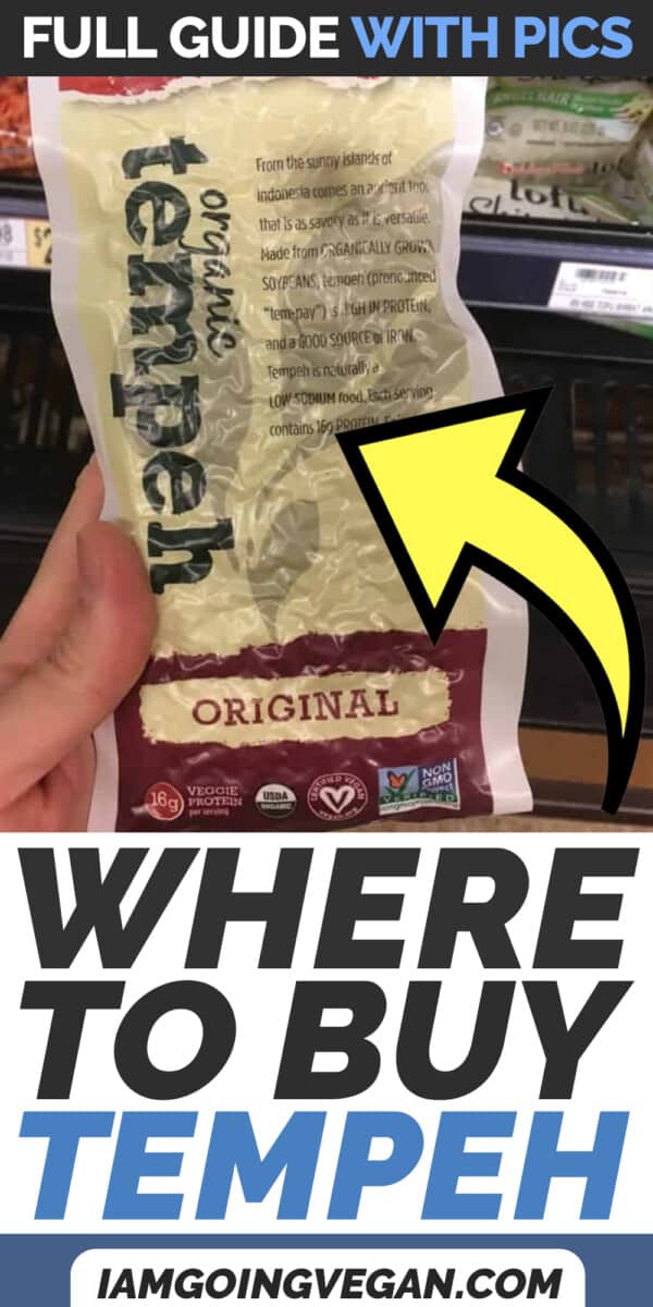 Where to Buy Tempeh & How to Find It in the Grocery Store I Am Going Vegan