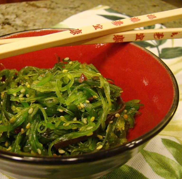 Is Seaweed Vegan? (Nori, Seaweed Salad, Sushi, and More) I Am Going Vegan