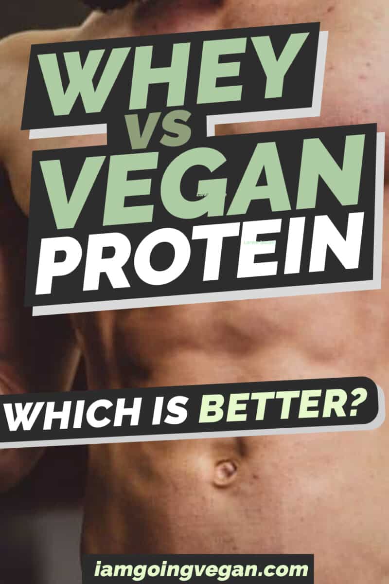 Whey Protein vs Plant Protein for Muscle Building & Fat Loss I Am Going Vegan