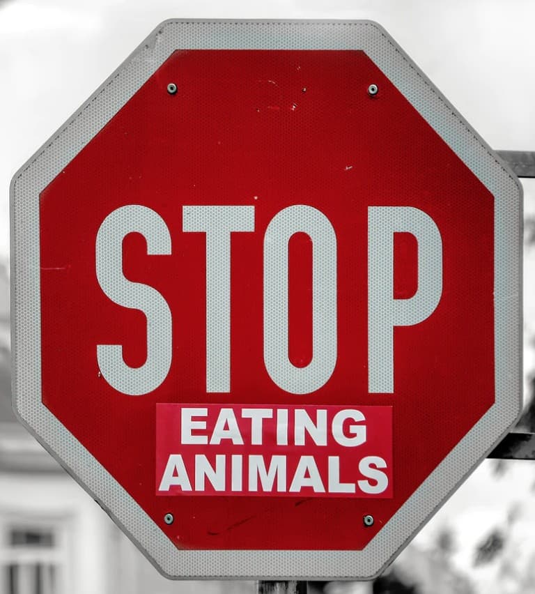 The Ultimate Guide to Vegan Symbols, Logos, and Signs I Am Going Vegan