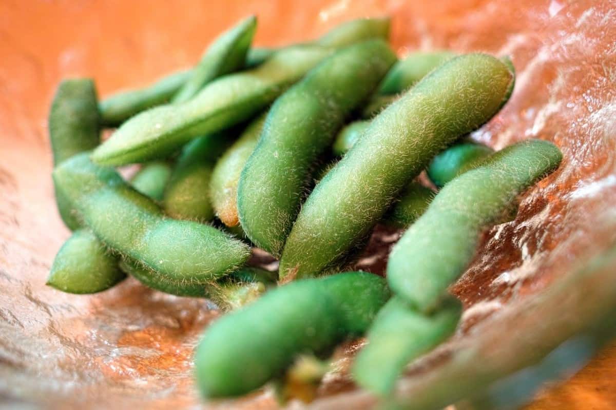 What Happens If You Eat The Edamame Pod I Am Going Vegan